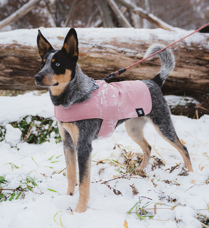 Pink | Coat