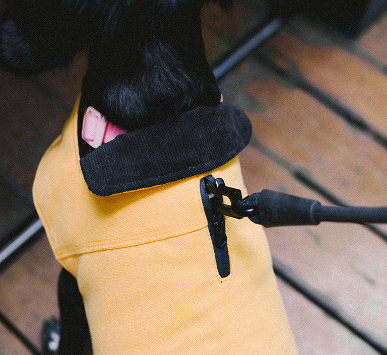 Yellow | Winter Coat