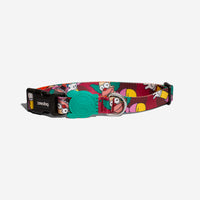 Zee.Dog Krusty Collar