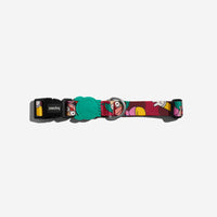 Zee.Dog Krusty Collar