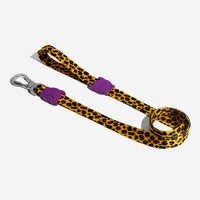 Honey | Dog Leash