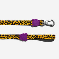 Honey | Dog Leash