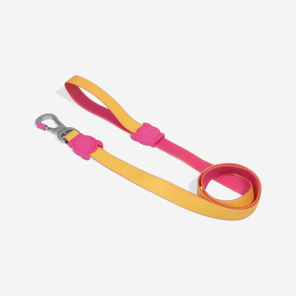 Neopro Lyra | Leash