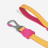 Neopro Lyra | Leash