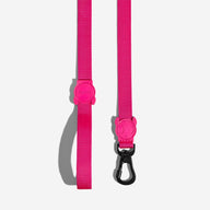 Pink LED | Leash