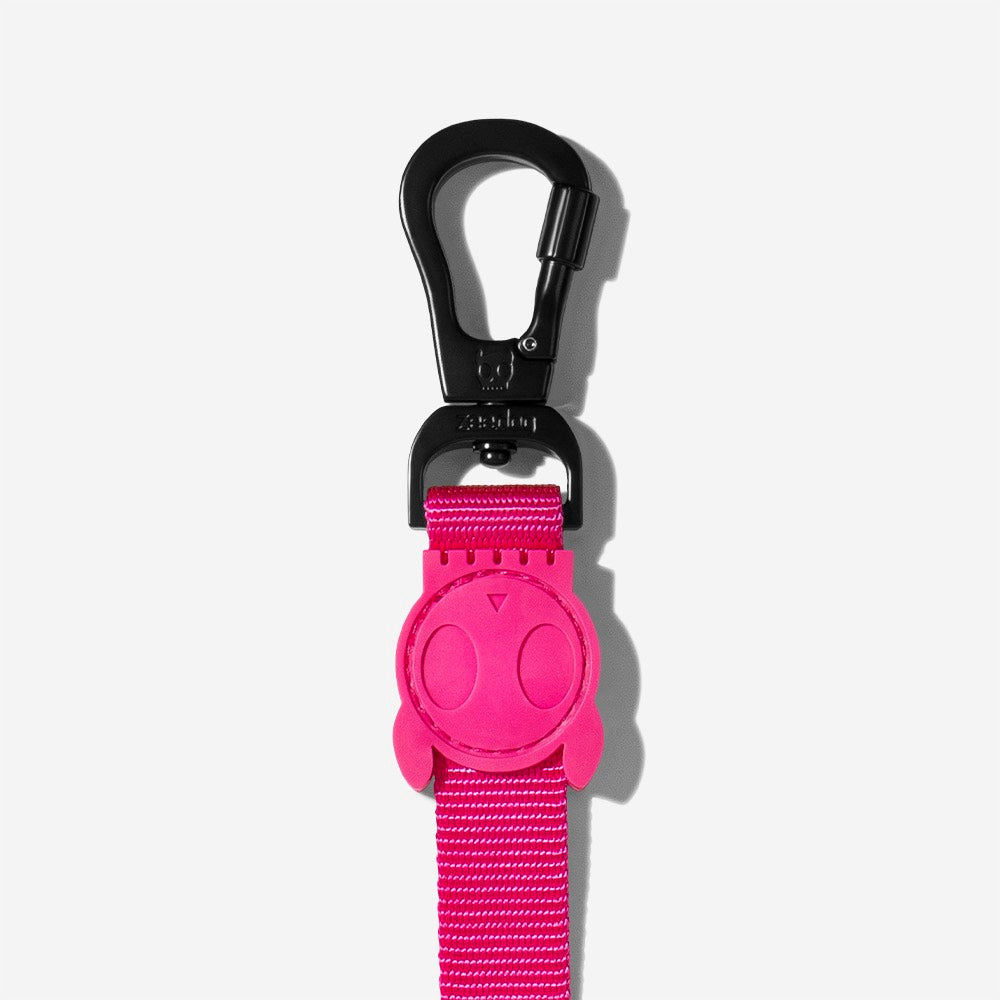 Pink LED | Leash