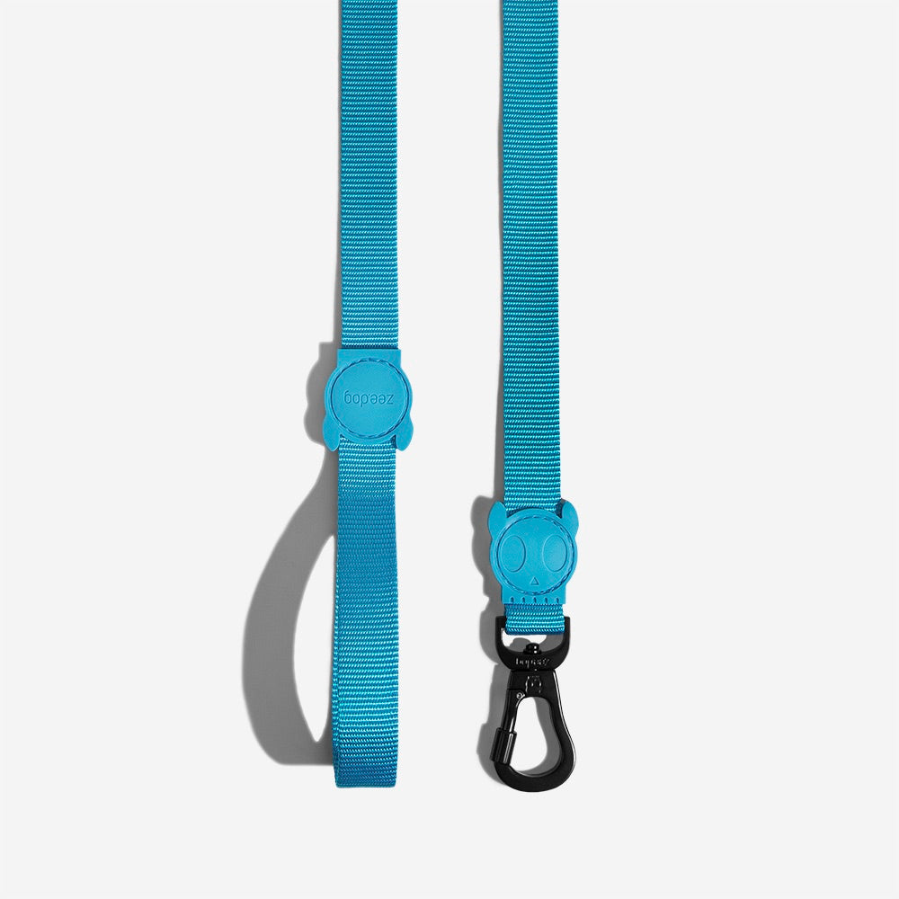 Ultimate Blue | Leash