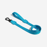 Ultimate Blue | Leash