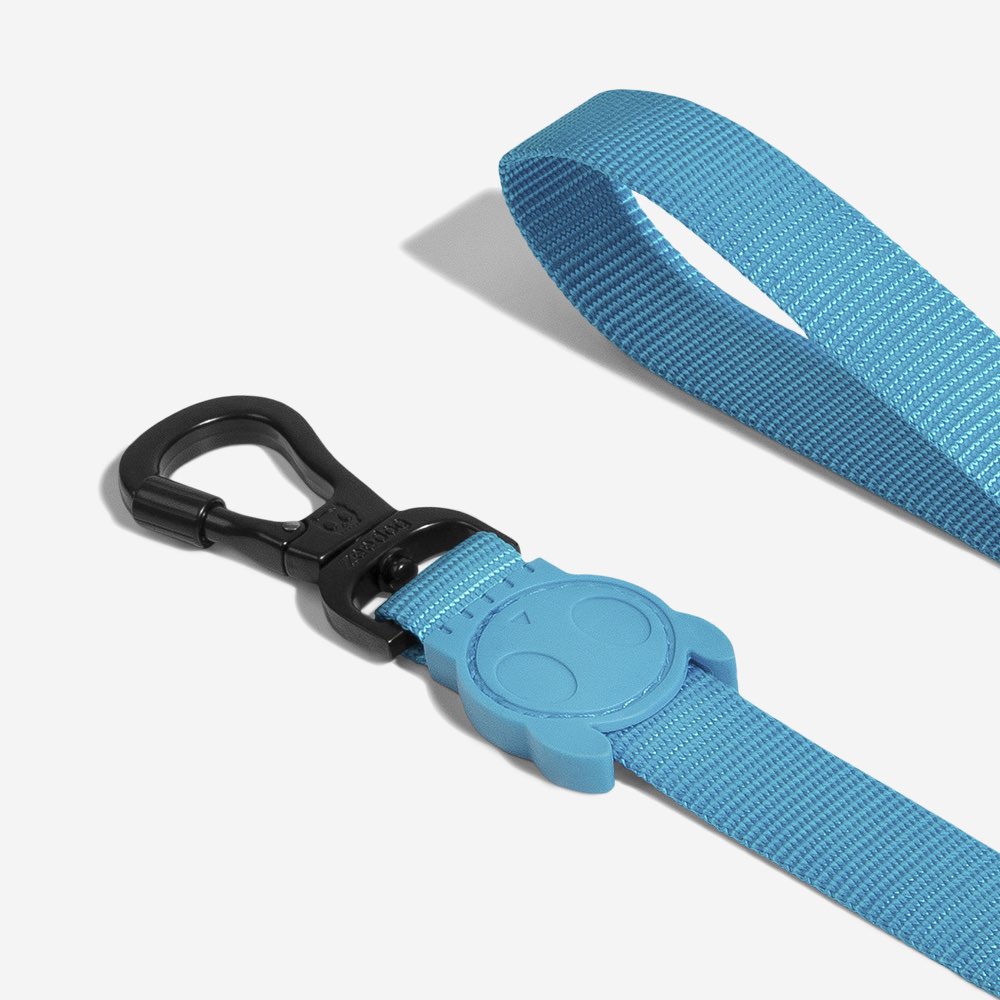 Ultimate Blue | Leash