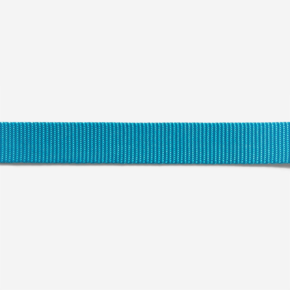 Ultimate Blue | Leash