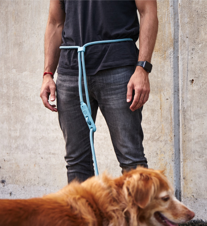 Blue Tech | Hands-Free Leash