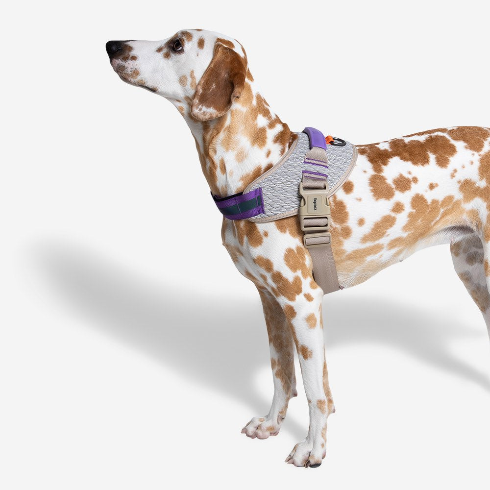 Zee.Dog ACG FlyHarness