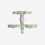 Melissa x Zee.Dog Olive Green | H-Harness