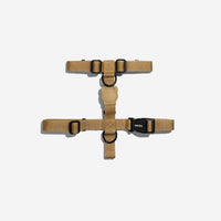 Sand | H Harness